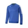 Sweatshirt Mizuno Nara Training