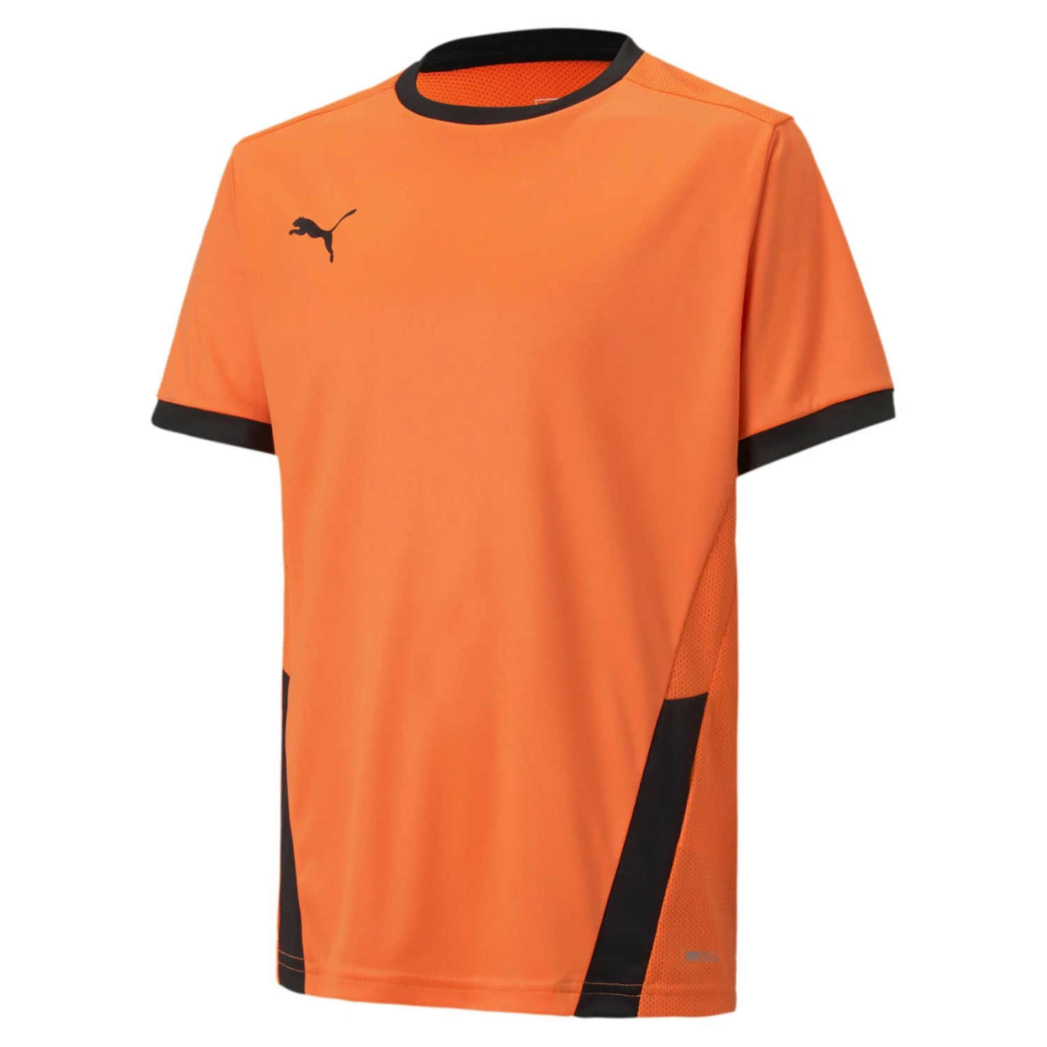 Maillot Enfant Puma Team Goal 23 3 Maillot Enfant Puma Team Goal 23