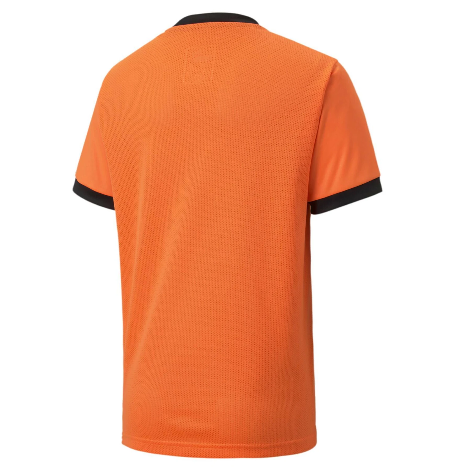 Maillot Enfant Puma Team Goal 23 4 Maillot Enfant Puma Team Goal 23 – Image 2
