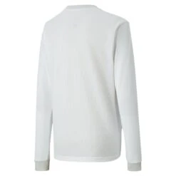 Maillot Manches Longues Enfant Puma Team Goal 23 Jersey 5 Maillot Manches Longues Enfant Puma Team Goal 23 Jersey -Basketball Produits Magasin 704261 04 1 puma pum 704261 04 backview