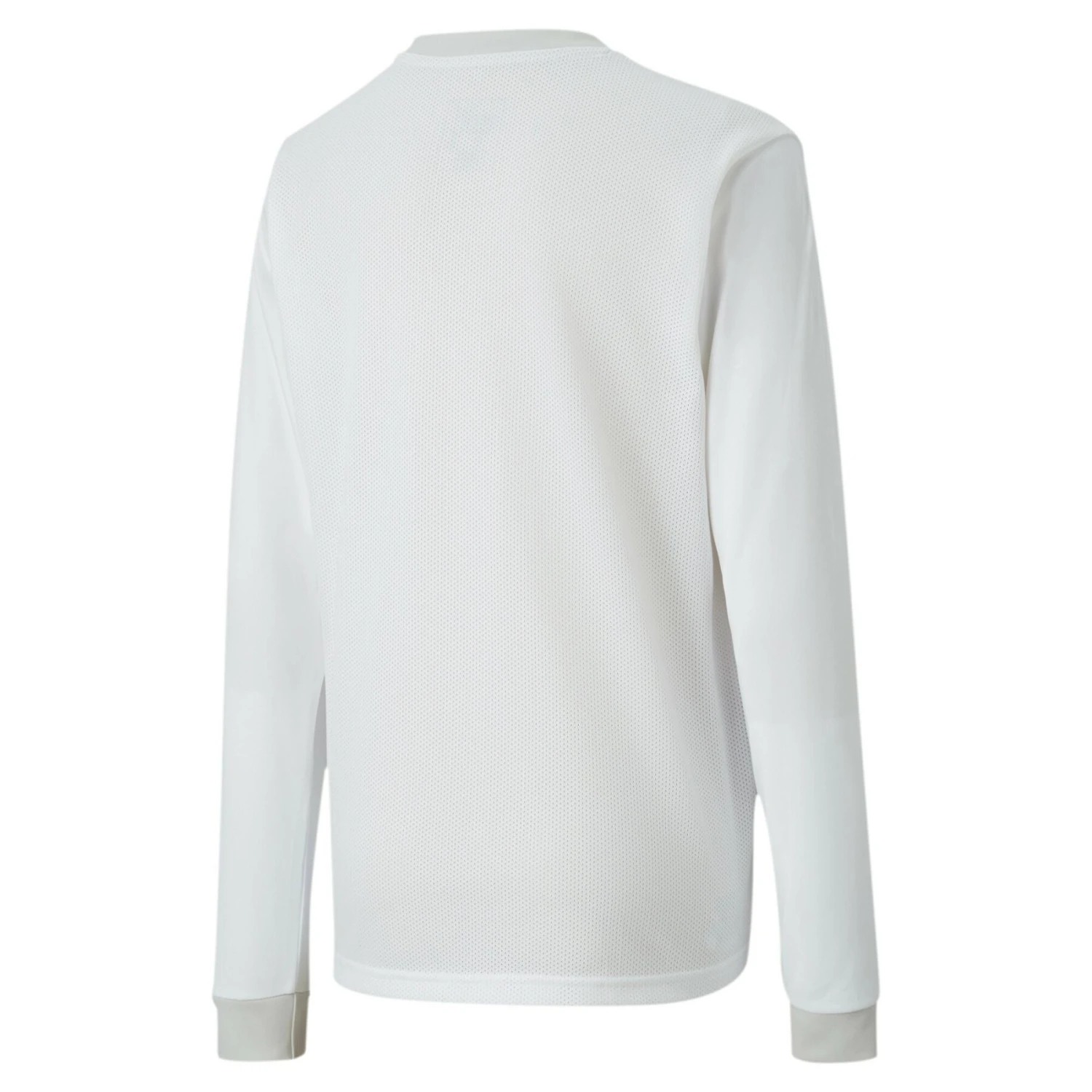 Maillot Manches Longues Enfant Puma Team Goal 23 Jersey 4 Maillot Manches Longues Enfant Puma Team Goal 23 Jersey – Image 2