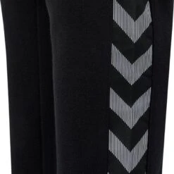 Pantalon Enfant Hummel HmlAUTHENTIC -Basketball Produits Magasin getimage 3 6