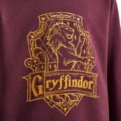 Sweatshirt à Capuche Enfant Hummel Harry Potter -Basketball Produits Magasin hummel 222550 3679 2