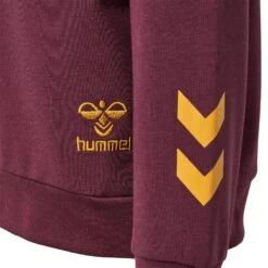 Sweatshirt à Capuche Enfant Hummel Harry Potter -Basketball Produits Magasin hummel 222550 3679 3
