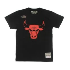 Mitchell & Ness T-shirt Chicago Bulls Blank Traditional