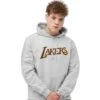 Mitchell & Ness Sweat à Capuche Los Angeles Lakers NBA Logo 2 Mitchell & Ness Sweat à Capuche Los Angeles Lakers NBA Logo -Basketball Produits Magasin mitchell ness hdssintl1050 lalgymr grey marl 1