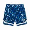 Short Puma Venice Beach League -Basketball Produits Magasin puma 623575 01 clyde royal 1