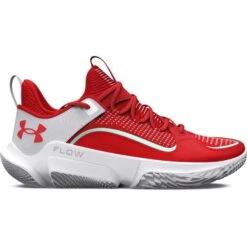 Chaussures Basketball Under Armour Flow Futr X 3